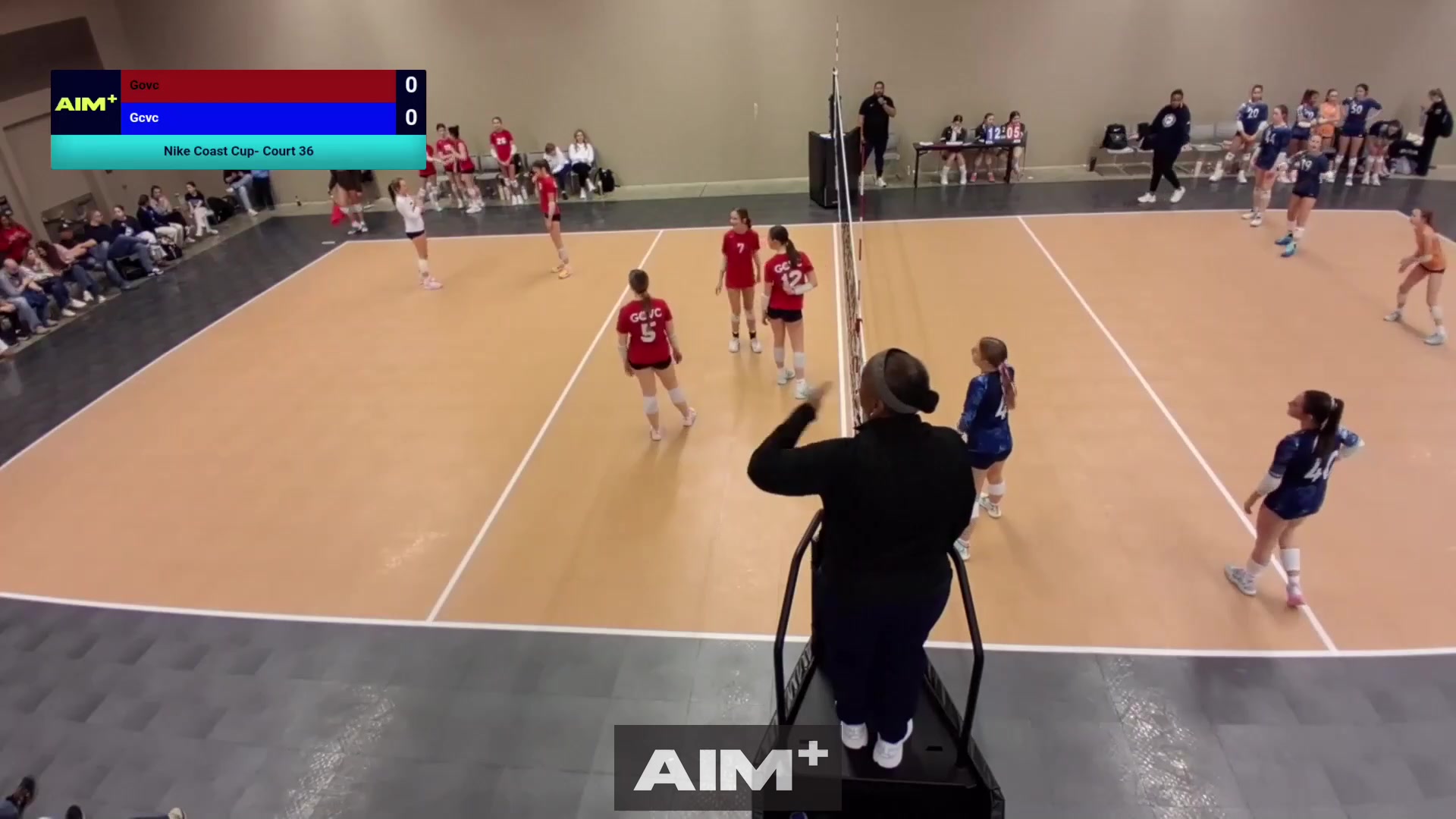 assist