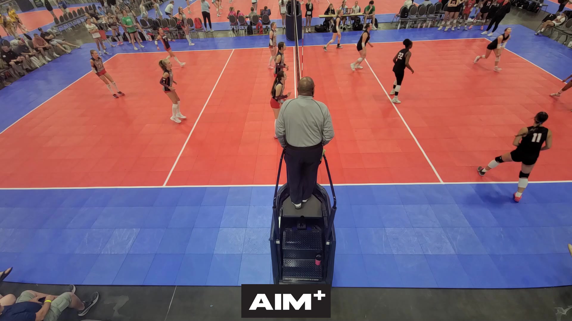dig
