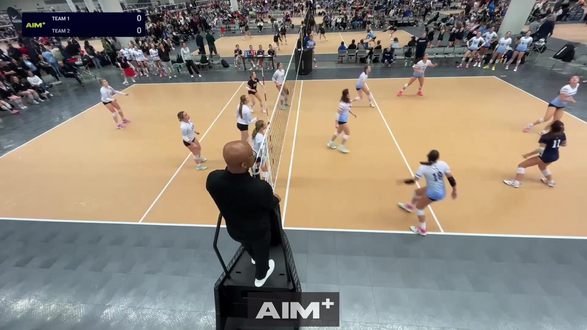 assist