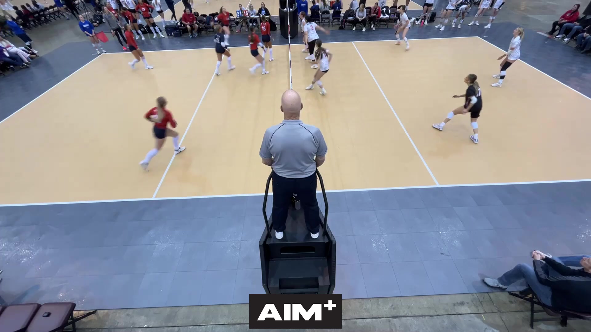 assist