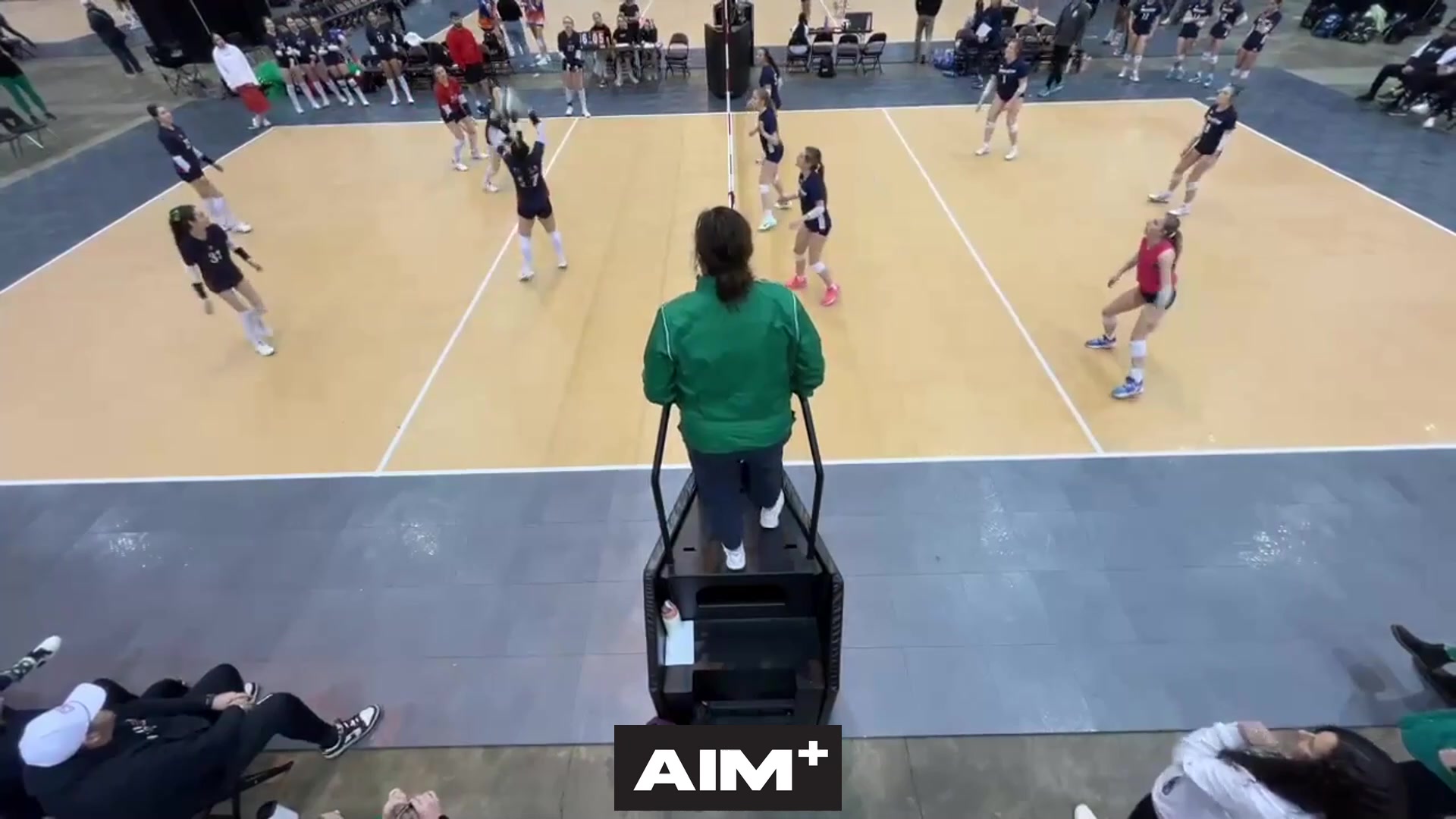 dig
